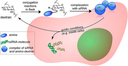 JACS Dextran nanoparticles gene delivery dextran wichlab