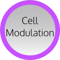 Ring Cell Modulation