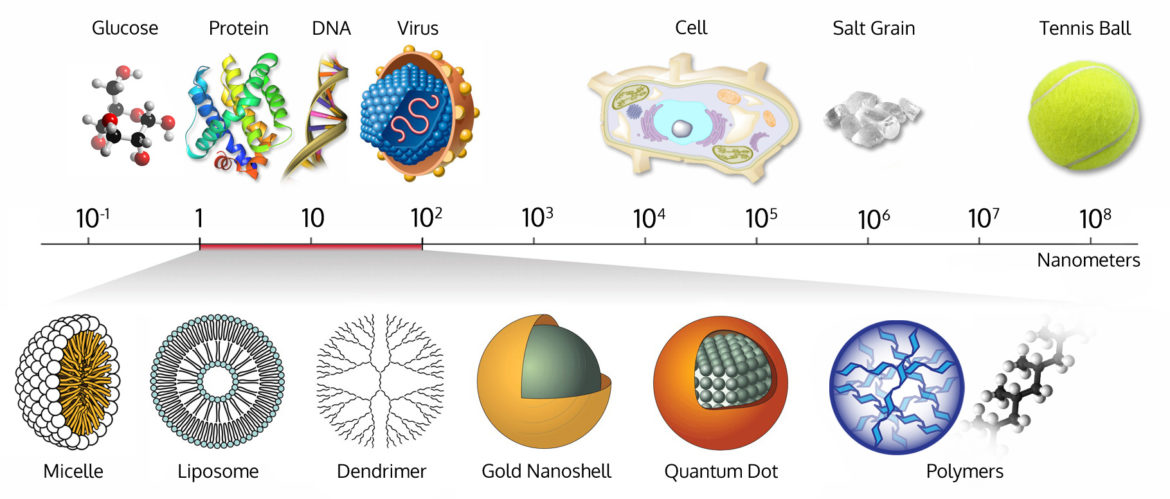 Size-comparison-Bio-nanoparticles nanometer scale comparison nanoparticle size comparison nanotechnology chart ruler – Wich Research Lab
