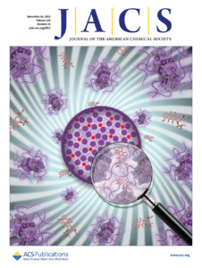 Wichlab Nanoparticle JACS protein drug delivery cover art