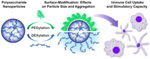 Surface Modification of Polysaccharide-Based Nanoparticles