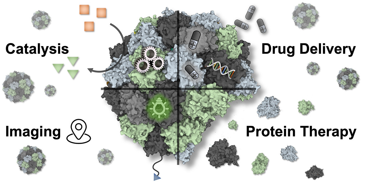 “Protein-based Nanoparticles: From Drug Delivery to Imaging, Nanocatalysis and Protein Therapy ” J. Kaltbeitzel, P. R. Wich Angew. Chem. 2023, e202216097. (DOI: 10.1002/anie.202216097)